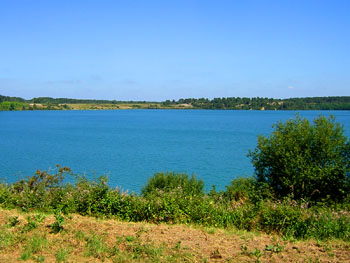 La réserve naturelle d'Arjuzanx